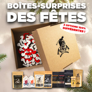 Boîtes-Surprises des Fêtes