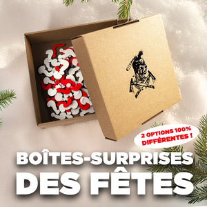 Holiday Surprise Boxes