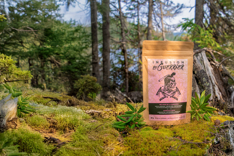 Infusion du Guerrier