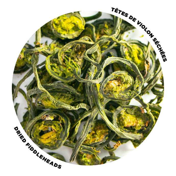 Whole dried fiddleheads - 15g