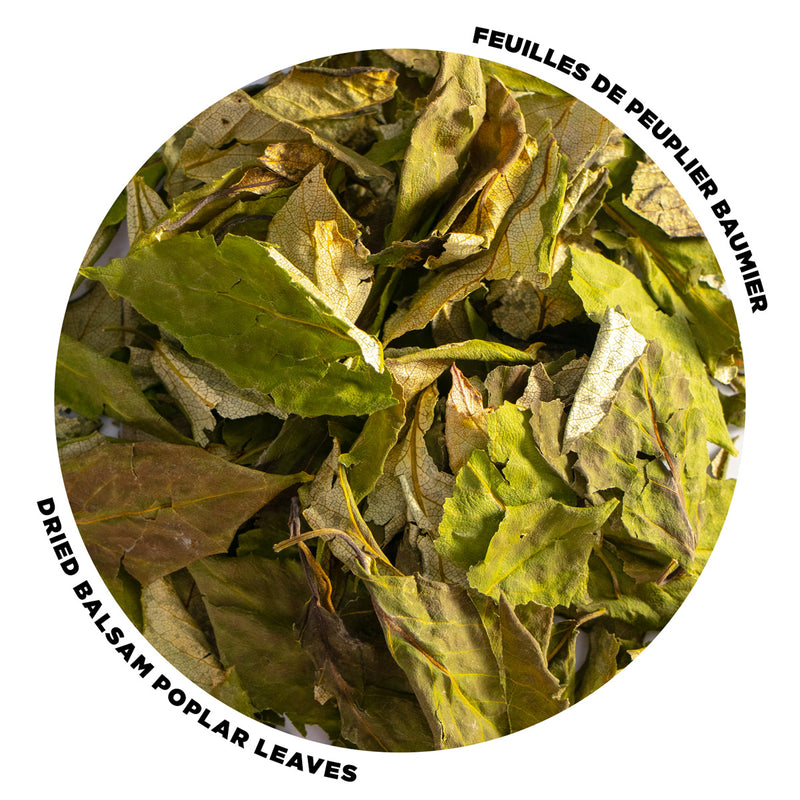 Chargez l&#39;image dans la visionneuse de la galerie, Peuplier baumier - Feuilles séchées - 10g

