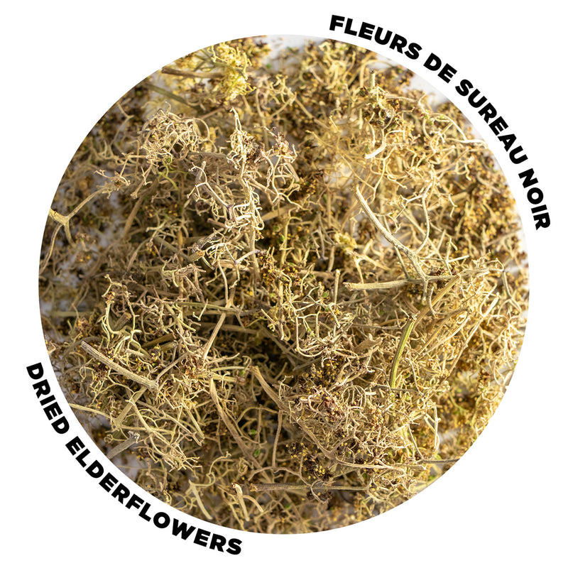 Load image into Gallery viewer, Black Elderberry - Dried Flowers and Stems - 20g
