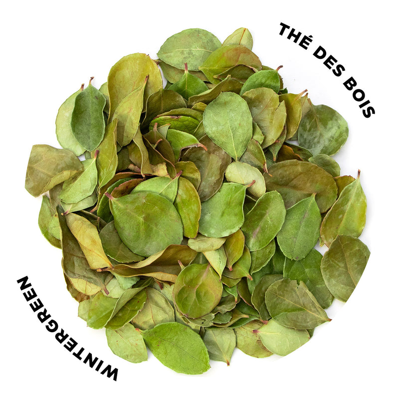 Load image into Gallery viewer, Thé des Bois - Feuilles séchées - 10g
