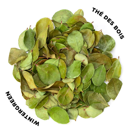 Thé des Bois - Feuilles séchées - 10g