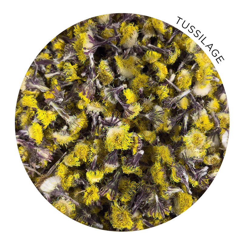 Load image into Gallery viewer, Dried coltsfoot
