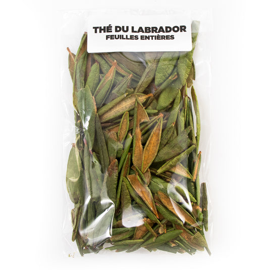 Labrador tea
