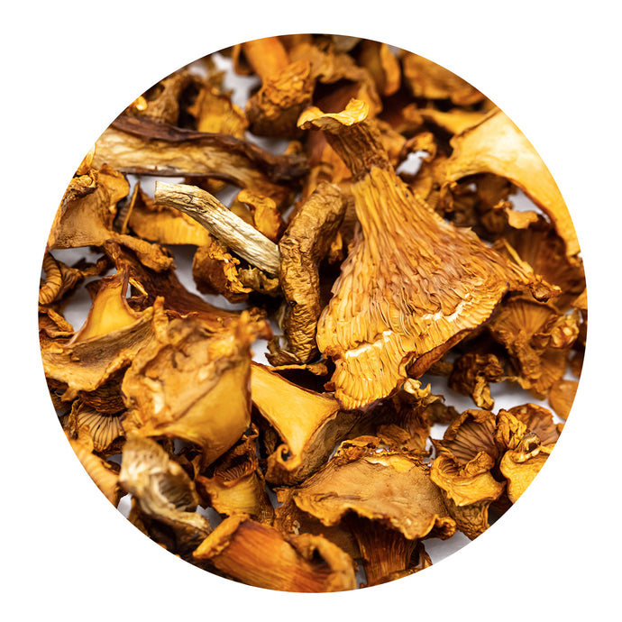 Chanterelles Séchées