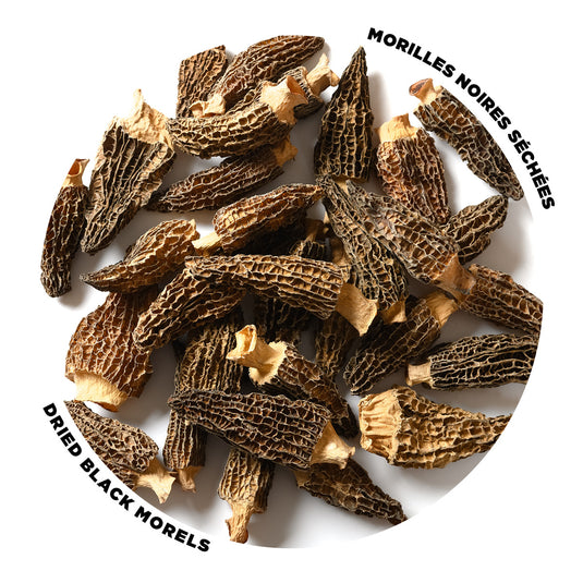 Morilles noires séchées 10g | Vrac